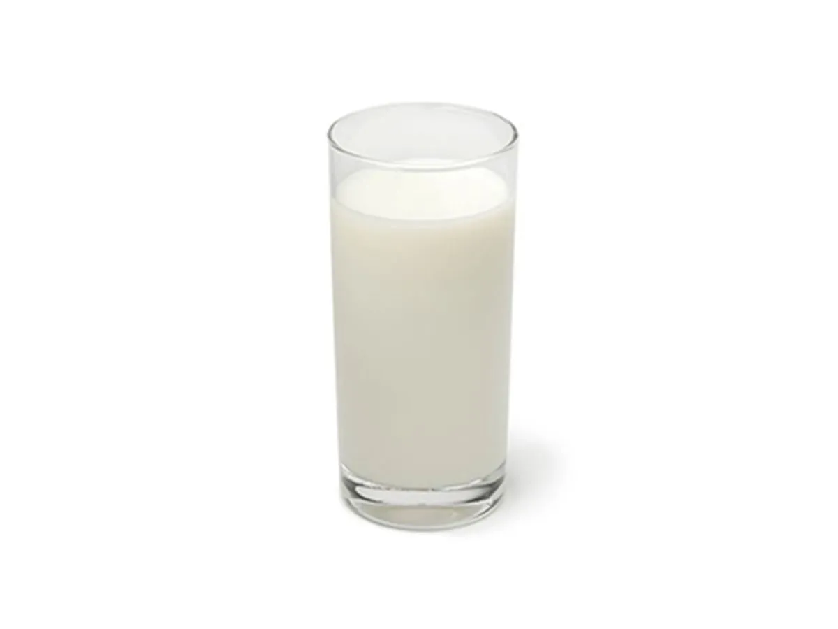 Ayran (30 cl.)